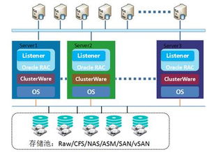 Oracle RAC上云实战指南 数据处理与存储服务的高效迁移与部署