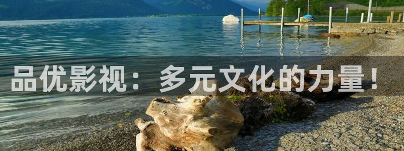 第七影院伦理：品优影视：多元文化的力量！