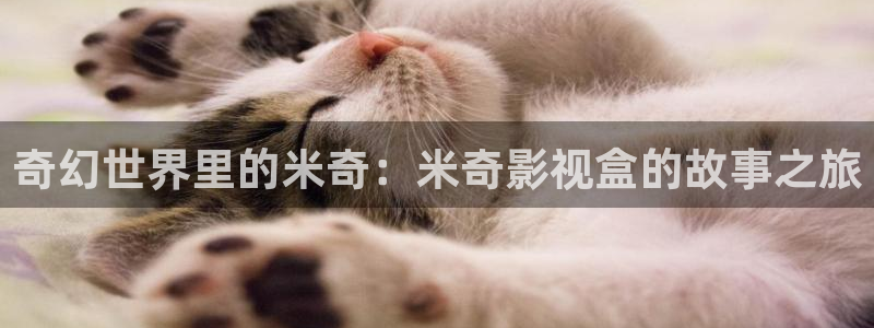 第七影院神马影院：奇幻世界里的米奇：米奇影视盒的故事之旅