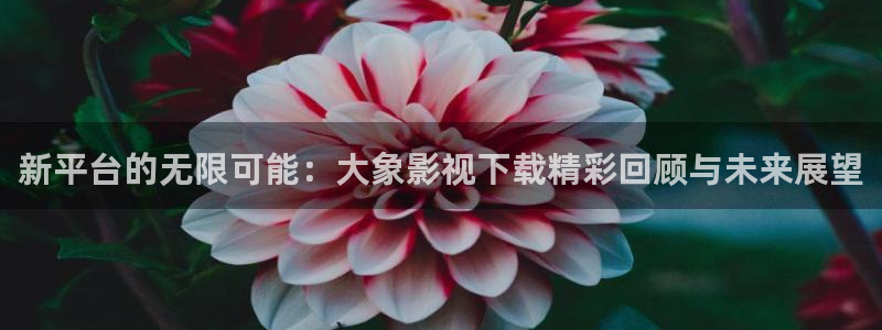 第七影院第六影院：新平台的无限可能：大象影视下载精彩回顾与未来展望
