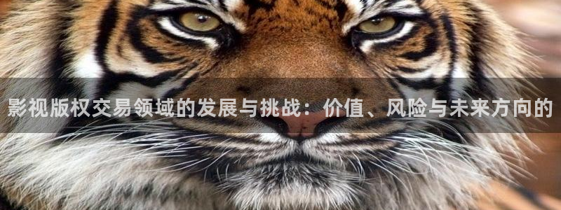 神马电影第七影院：影视版权交易领域的发展与挑战：价值、风险与未来方向的