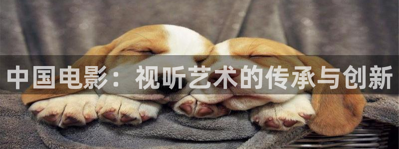 第七影院第一影院：中国电影：视听艺术的传承与创新