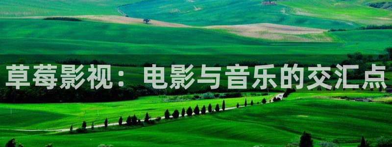 第七电影院官网：草莓影视：电影与音乐的交汇点