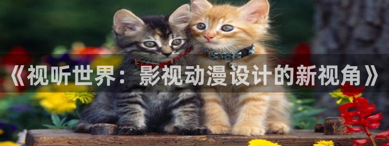 第七影院神马影院：《视听世界：影视动漫设计的新视角》