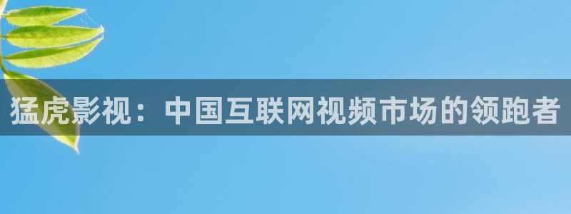 花花影院第七电影：猛虎影视：中国互联网视频市场的领跑者