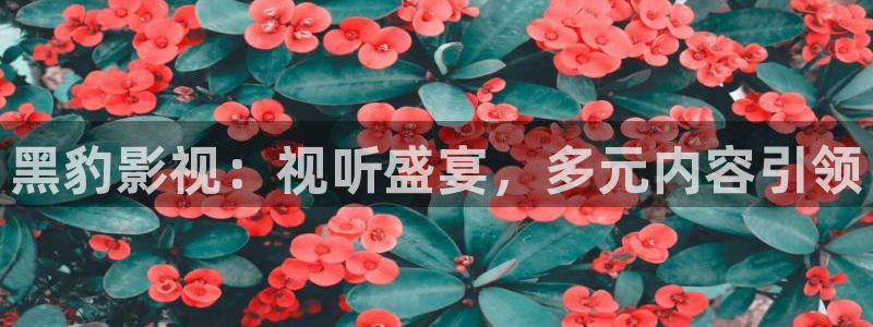 神马影院花花第七：黑豹影视：视听盛宴，多元内容引领